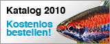 Zoo Zajac Katalog 2009 - Der gr&ouml;&szlig;te und leistungsst&auml;rkste Katalog f&uuml;r alle Aqarianer und Terrarianer von Deutschlands gr&ouml;&szlig;tem Zoo-Fachversand. Jetzt hier bei katalogkommt.de bestellen...
